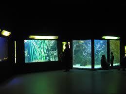 Aquarium of Lyon